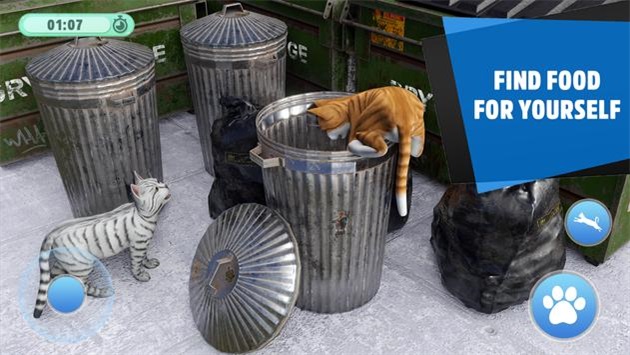 虚拟猫生存模拟2