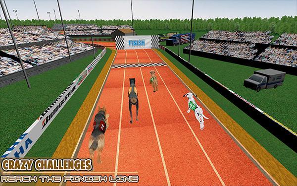 赛狗宠物赛跑模拟器0