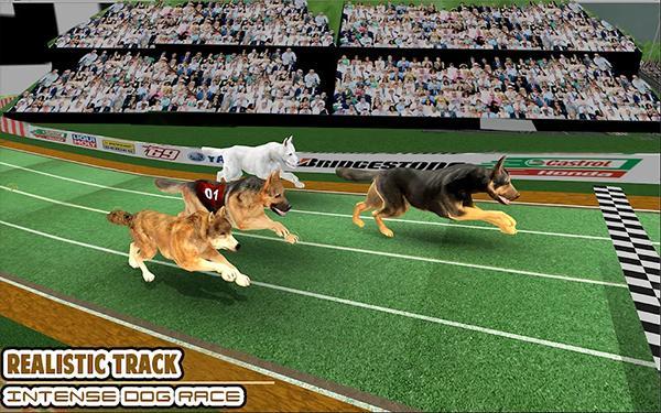 赛狗宠物赛跑模拟器1