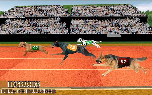 赛狗宠物赛跑模拟器2