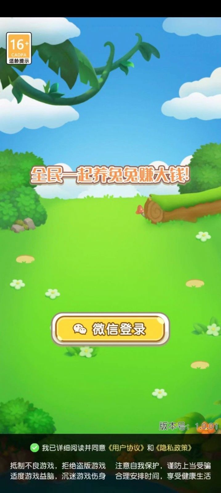 可爱的兔子3