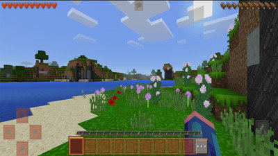 我的地球世界23