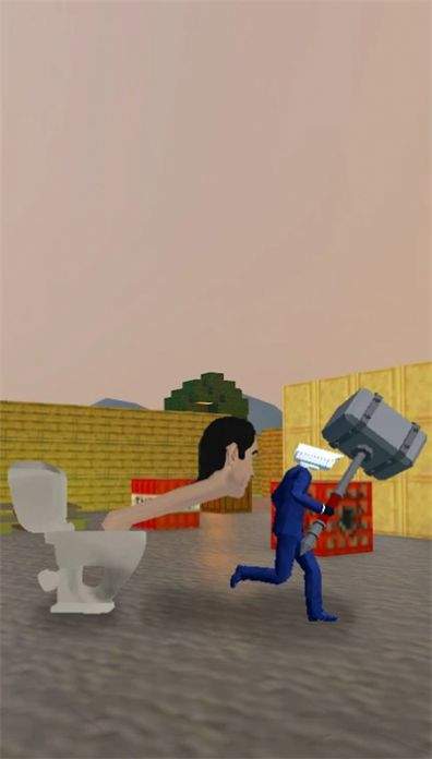 Head Toilet Object Hunt