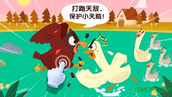 宝宝巴士宝宝鸟类认知1