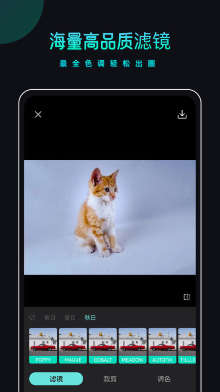 PicsDazz修图水印1