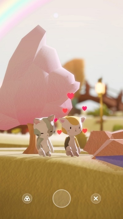 亲爱的猫咪Dear My Cat2