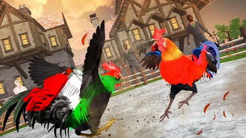 斗鸡模拟器单机版1