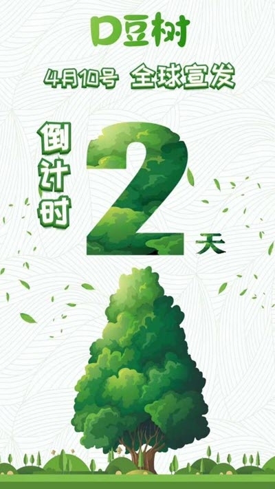 d豆树分红赚钱1