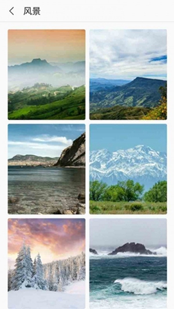 芒果壁纸 芒果壁纸