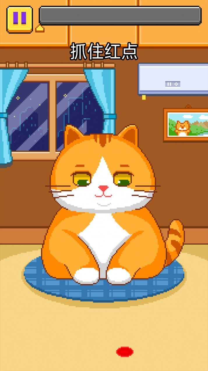 猫猫来了3