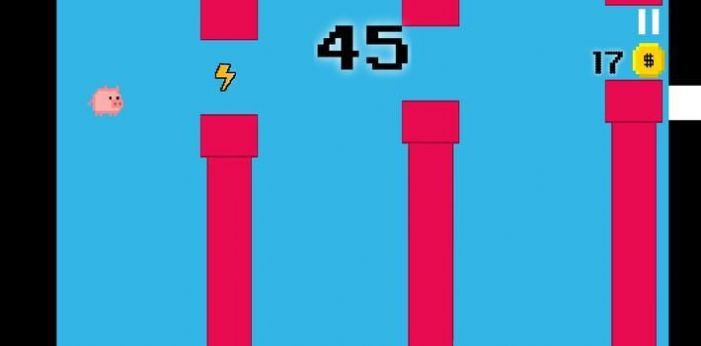 蓬松的猪3
