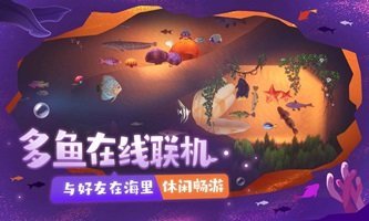 一只鱼1
