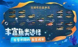 一只鱼2