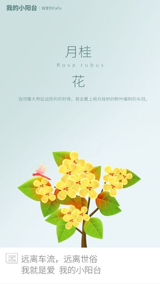 我的小阳台1