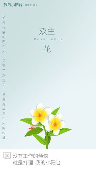 我的小阳台2