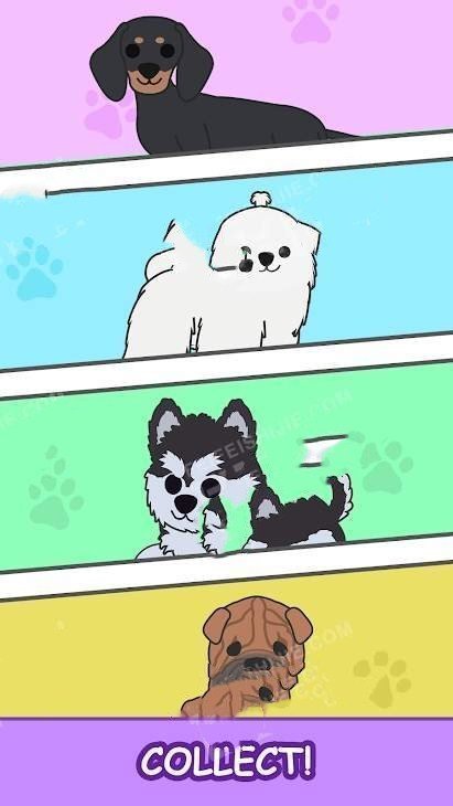 合并汪星人1