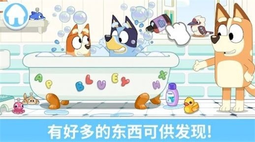 布鲁伊一起玩吧3