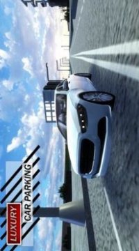 豪华停车模拟0