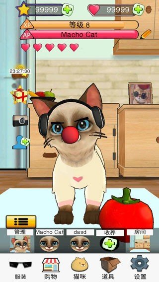 狂刷猫咪无限爱心星星版7