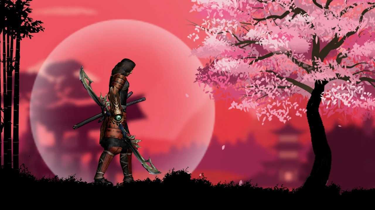 武士大冒险杀死忍者2
