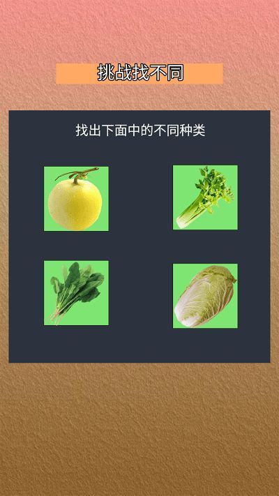 我会找不同3