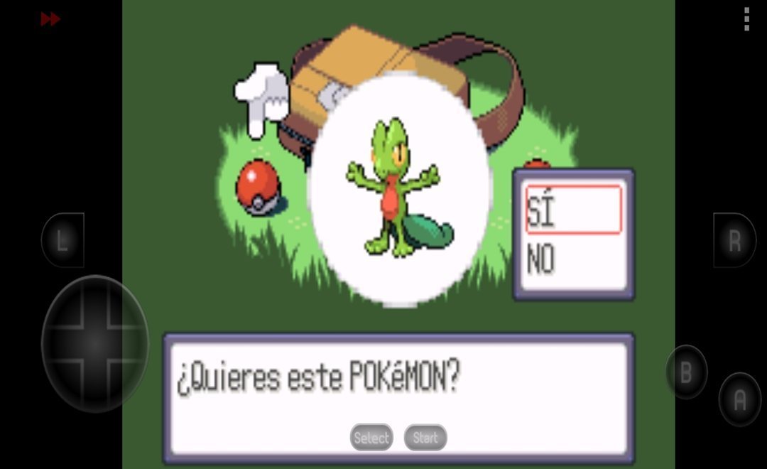 口袋妖怪红宝石0