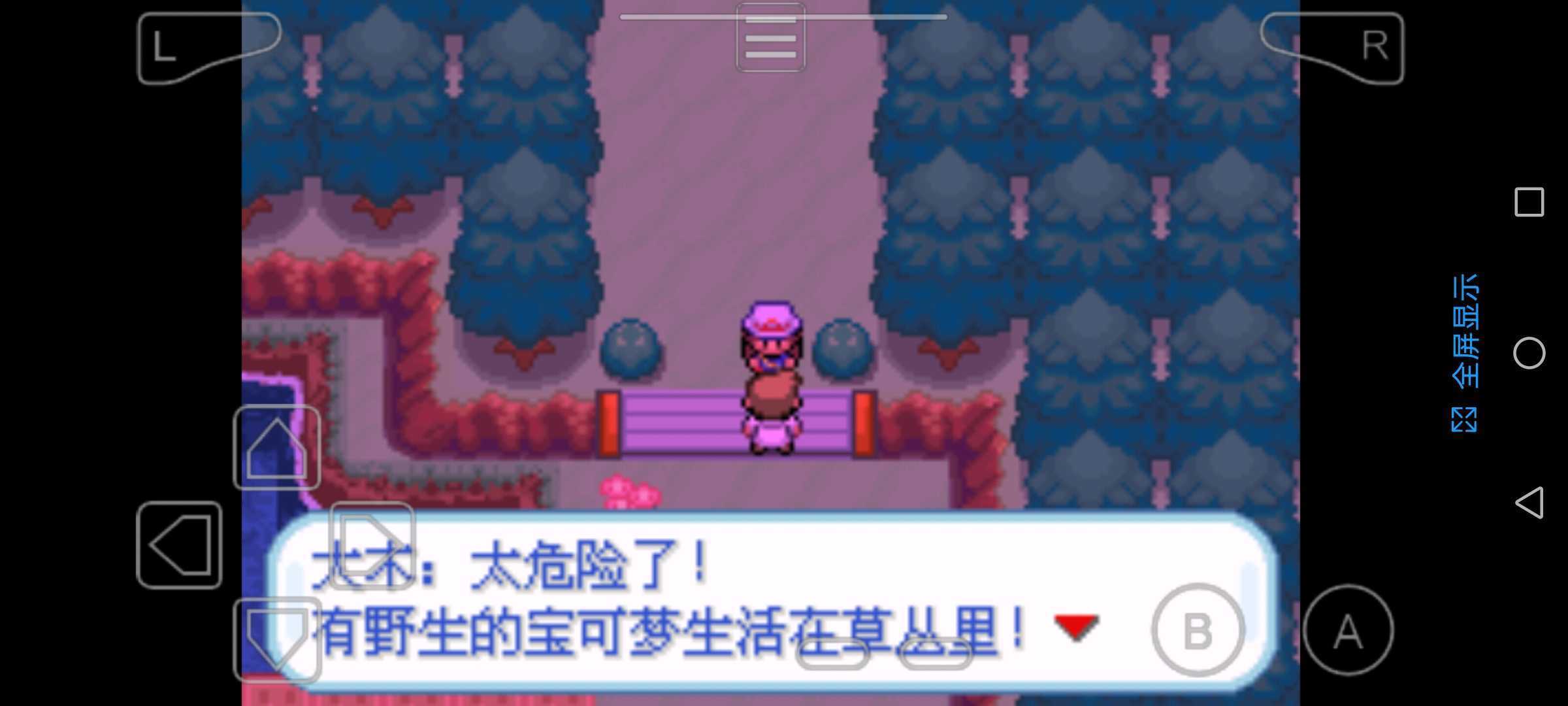 口袋妖怪圣光白1