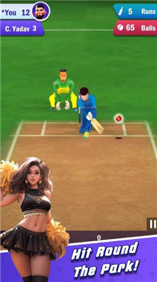 板球游戏真正的亚洲杯(Cricket Game)2