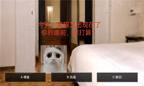 猫鼠特工猫猫惊魂3