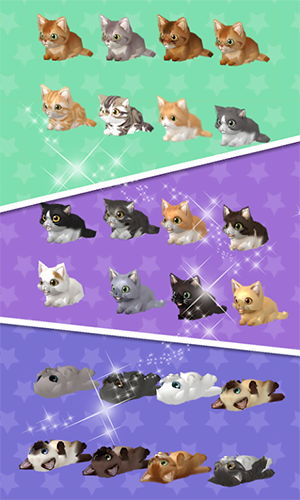 糖果猫世界3