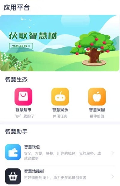 智慧之城0