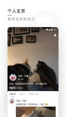 幻星辰0