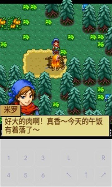 宠物王国4白金0