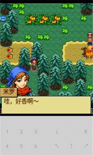 宠物王国4白金2