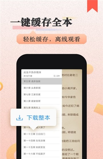 猫念小说0