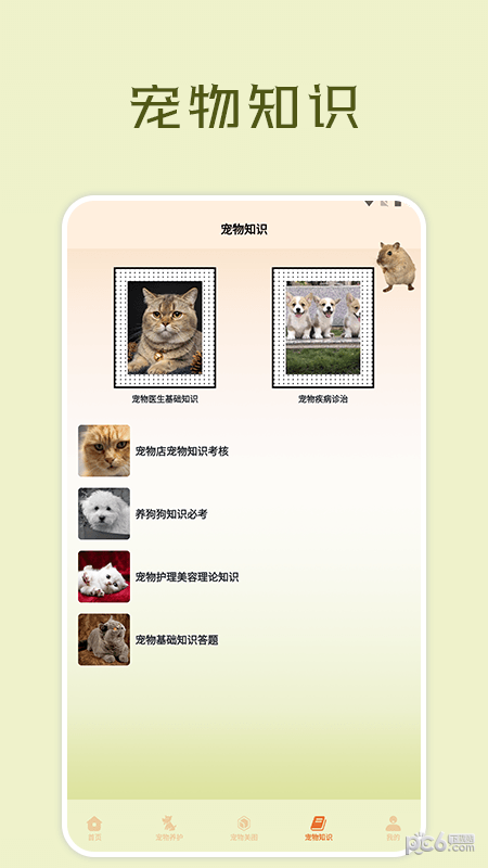 宠物小组件盒子0