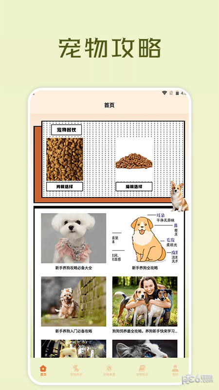 宠物小组件盒子1