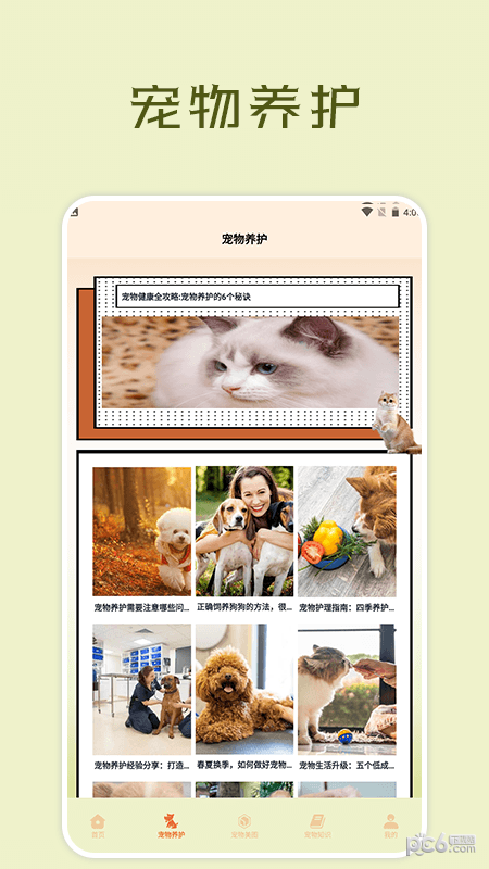 宠物小组件盒子2