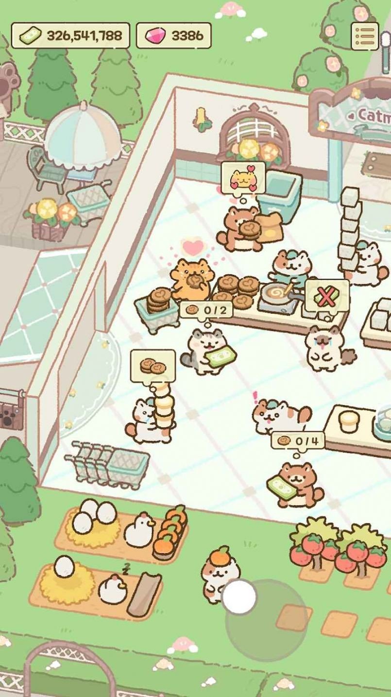 猫市1