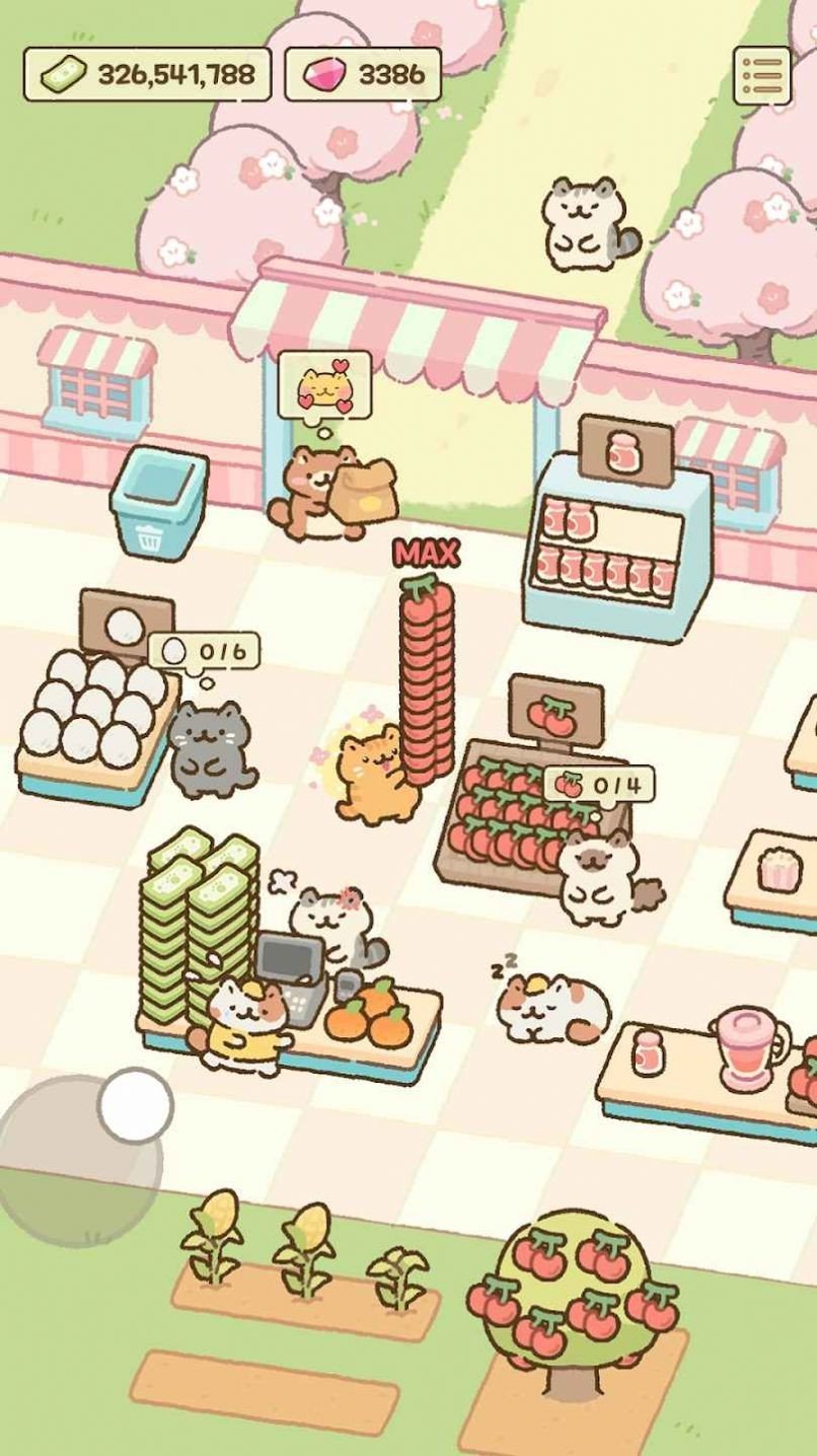 猫市3