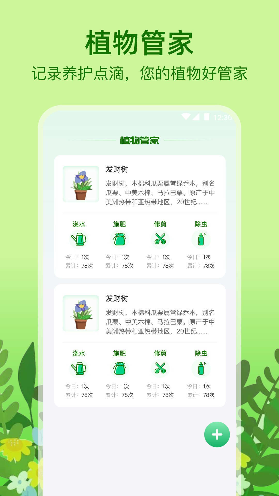 植物天气1