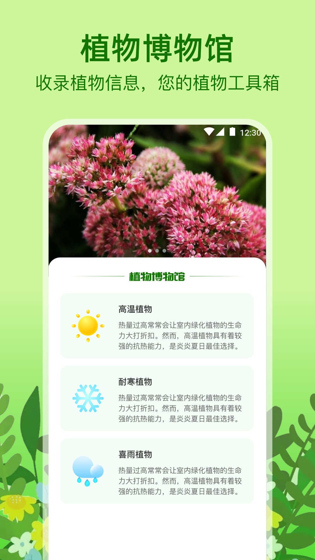 植物天气3
