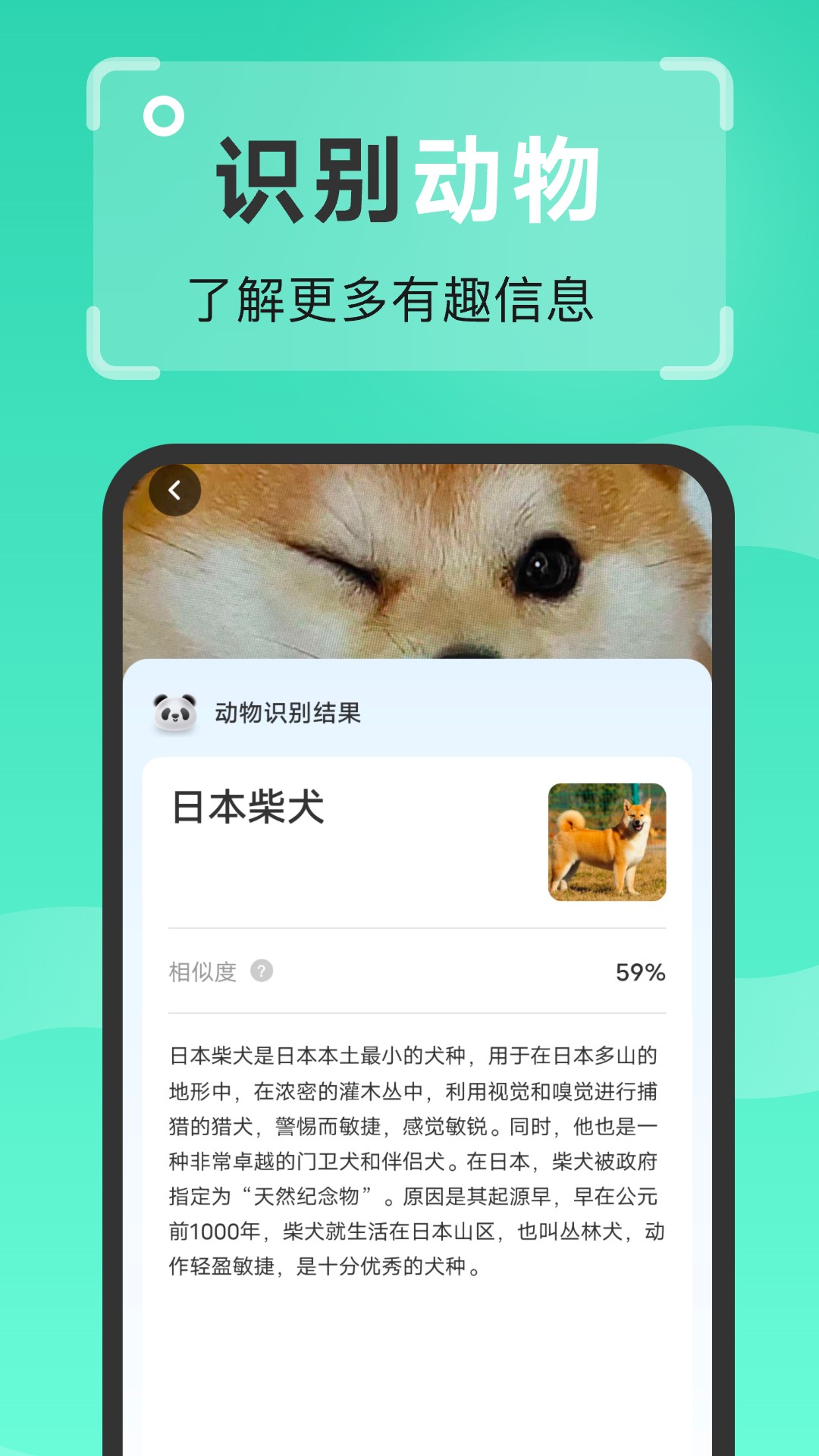强效扫描王1