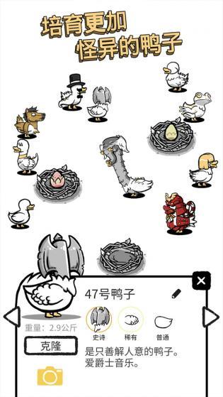 奇怪的鸭子23