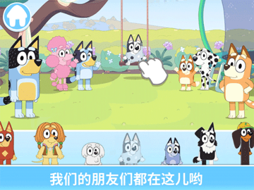 布鲁伊一起吧5