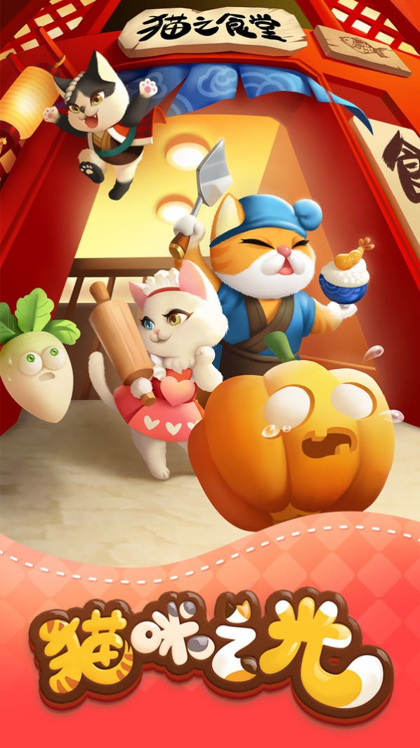 猫咪之光3