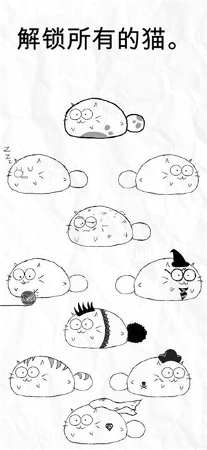 Fatty Cat0