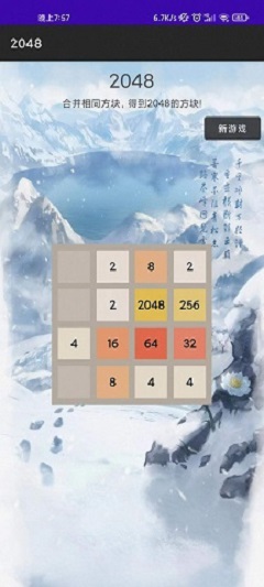 惊喜20481