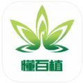 懂百植