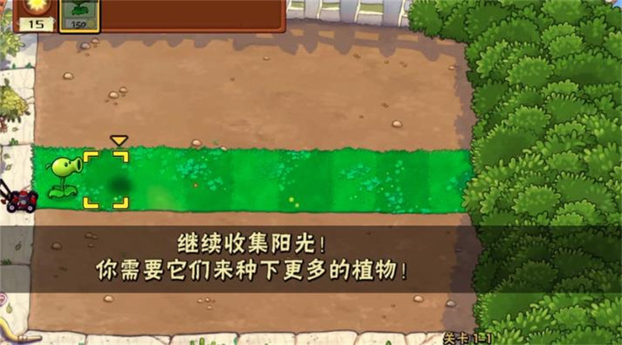 植物僵尸War版0
